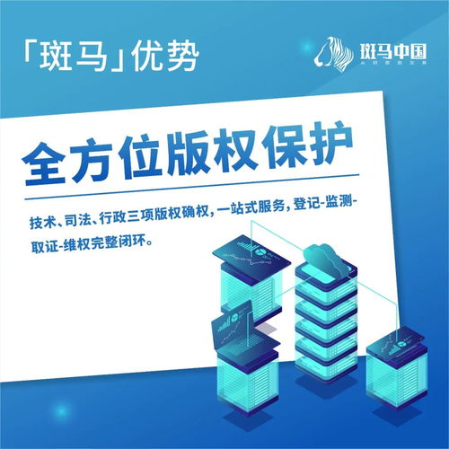 解讀斑馬 卓越的項目策劃與公關(guān)服務優(yōu)勢