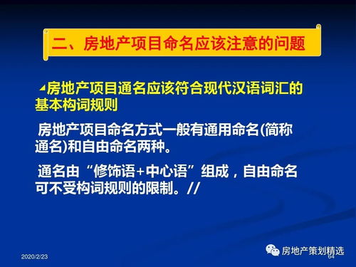 房地產(chǎn)項目主題策劃與公關(guān)服務全案